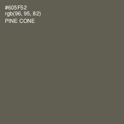 #605F52 - Pine Cone Color Image